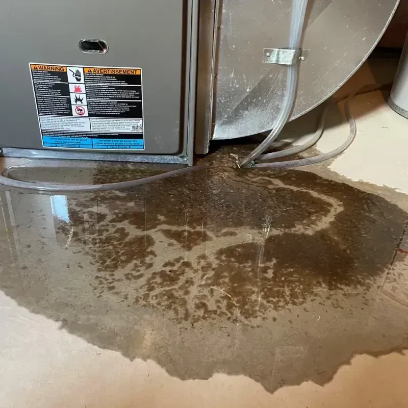 Appliance Leak Cleanup in Harrisville, MI